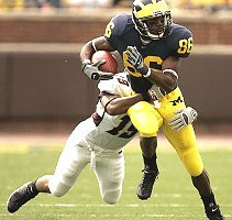 Mario Manningham