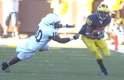Mario Manningham