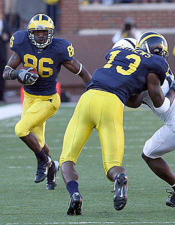 Mario Manningham and Greg Mathews
