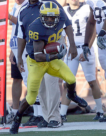 Mario Manningham
