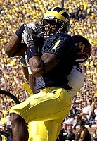 Braylon Edwards (1)