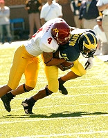 Steve Breaston (15)
