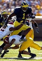 Braylon Edwards (1)