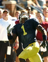 Braylon Edwards (1)