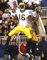 Adrian Arrington and Steve Breaston