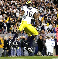 Adrian Arrington and Steve Breaston