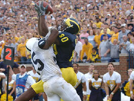 Braylon Edwards (80)