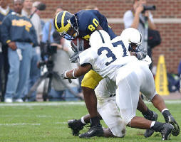 Braylon Edwards (80)