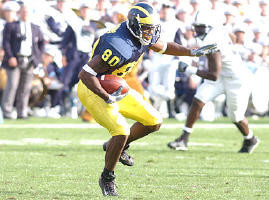 Braylon Edwards (80)