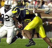 Braylon Edwards (80)