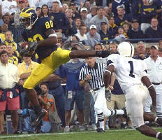 Braylon Edwards (80)