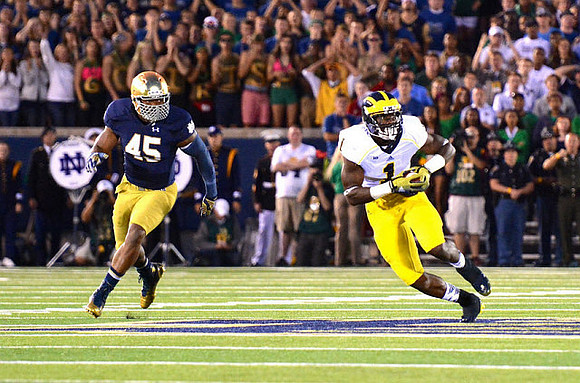 Devin Funchess (1)