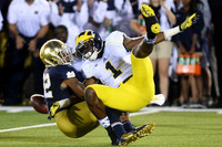 Devin Funchess (1)