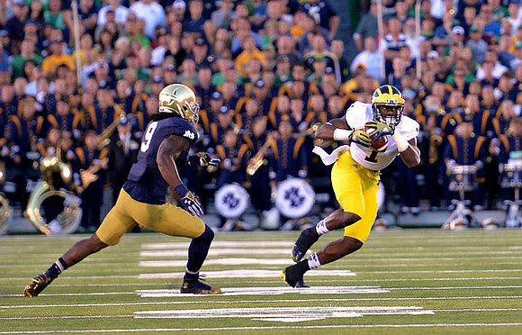 Devin Funchess (1)