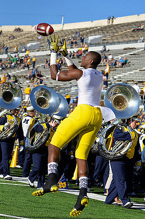 Devin Funchess (1)