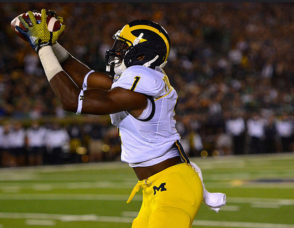 Devin Funchess (1)