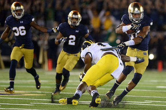 Devin Funchess (1)