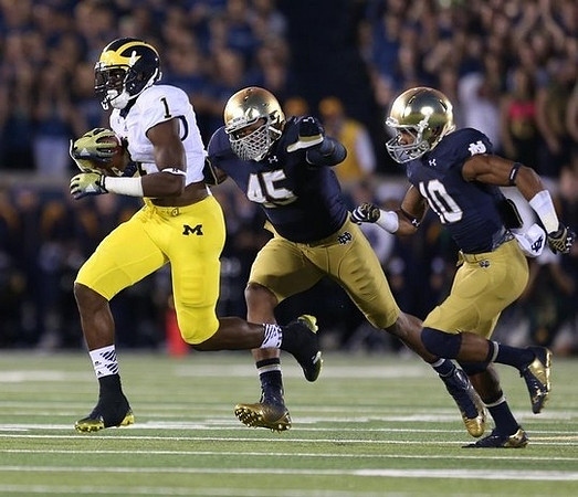 Devin Funchess (1)