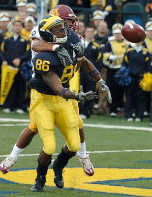 Mario Manningham