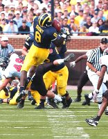 Jason Avant (8)