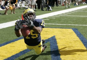 Steve Breaston (15)