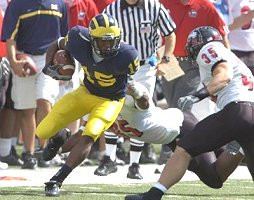 Steve Breaston (15)