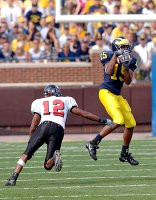 Steve Breaston (15)