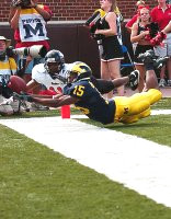 Steve Breaston (15)