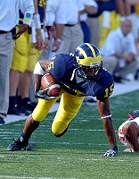Steve Breaston (15)