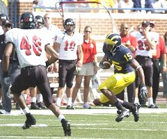 Steve Breaston (15)