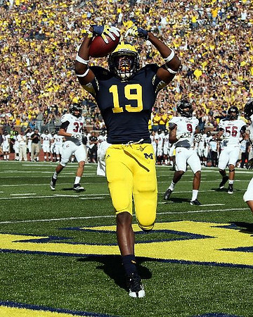 Devin Funchess (19)