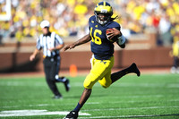 Denard Robinson (16)