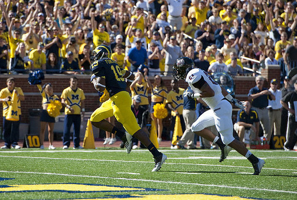 Devin Funchess (19)