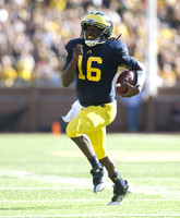 Denard Robinson (16)