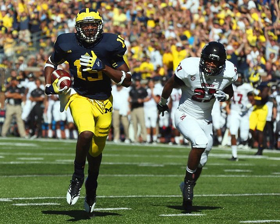 Devin Funchess (19)