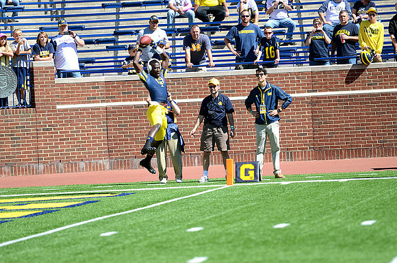 Devin Gardner (12)