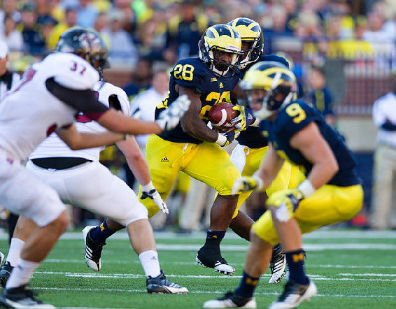 Fitzgerald Toussaint (28), Denard Robinson (16), and Drew Dileo (9)