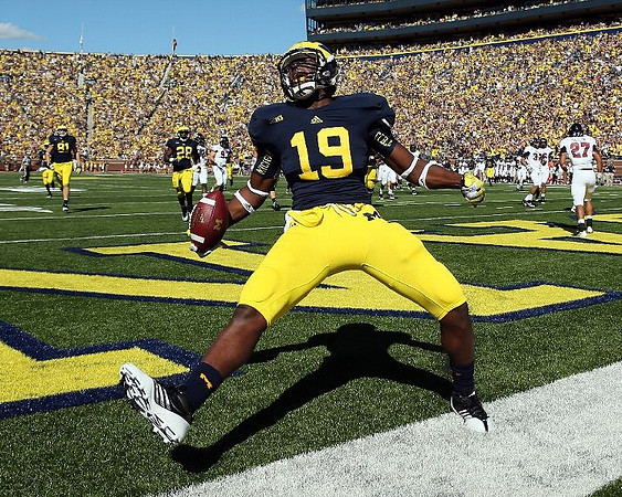 Mike Kwiatkowski (81), Fitzgerald Toussaint (28), and Devin Funchess (19)