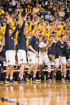 Michigan Team