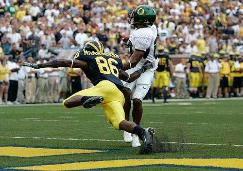 Mario Manningham