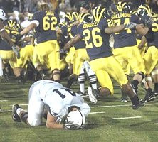 Michigan Team