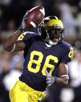 Mario Manningham