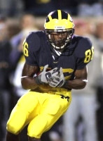 Mario Manningham