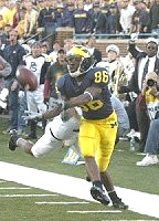 Mario Manningham