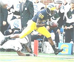 Mario Manningham