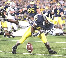 Steve Breaston