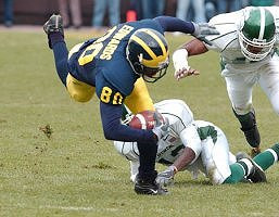 Braylon Edwards (80)
