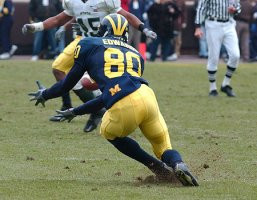 Braylon Edwards (80)