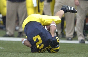 Sam McGuffie (2)