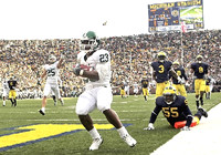Brandon Graham (55), Stevie Brown (3), Mike Martin (68), Jonas Mouton (8), and Troy Woolfolk (29)